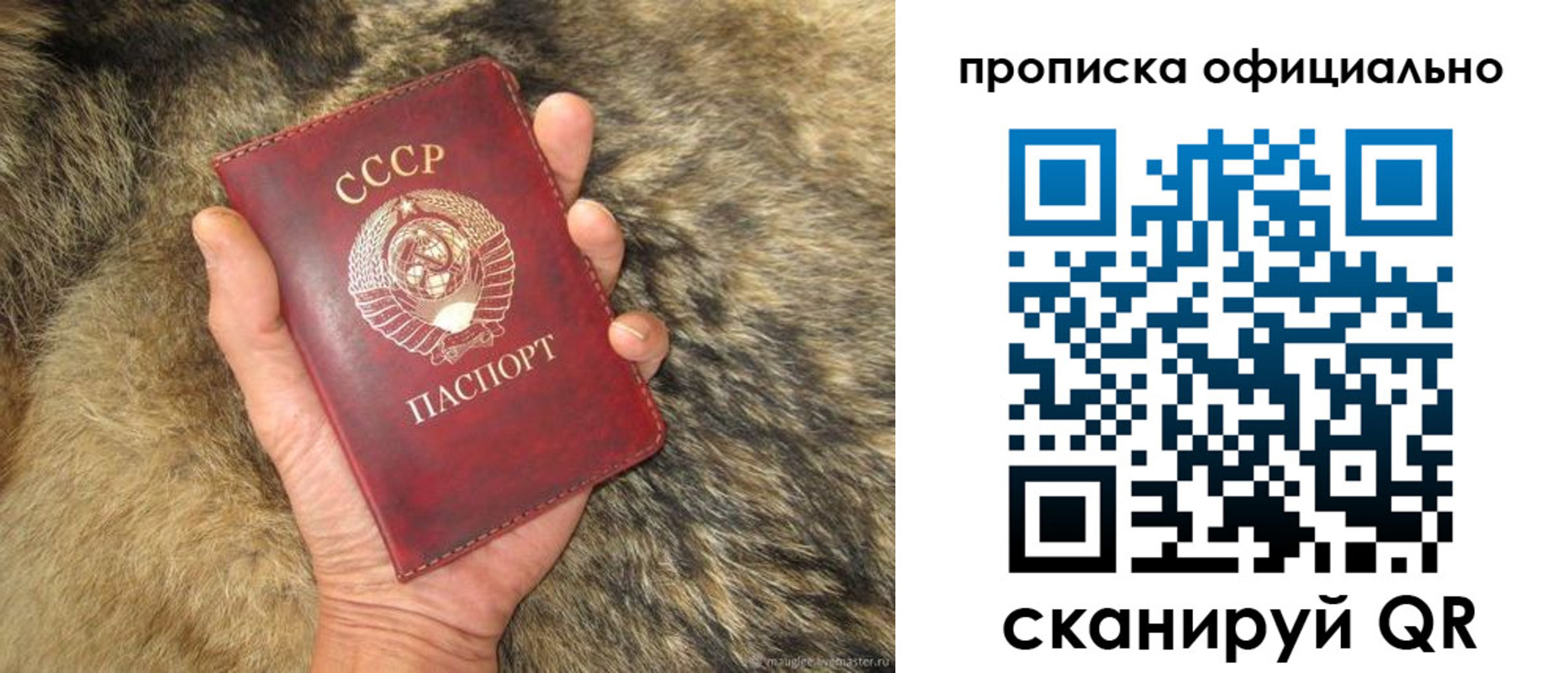 купить прописку в Менделеевске